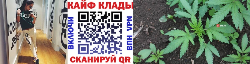 LSD-25 Фурманов