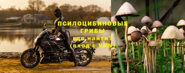 бошки Абдулино