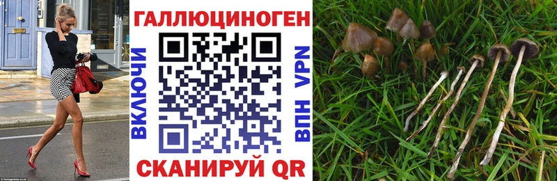 Галлюциногенные грибы Magic Shrooms  Фурманов 