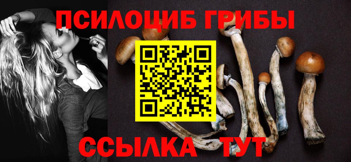 Галлюциногенные грибы мухоморы Фурманов